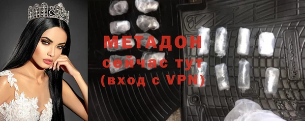индика Каменка