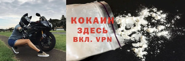 индика Каменка