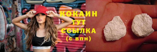 индика Каменка