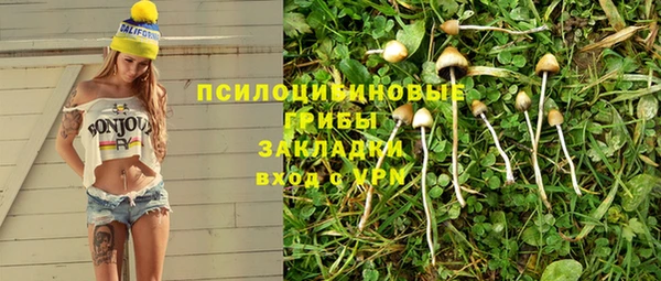 индика Каменка