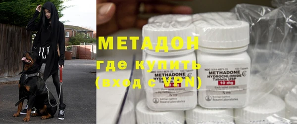 индика Каменка