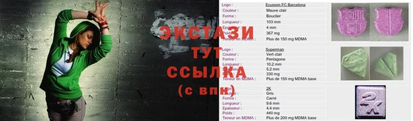индика Каменка