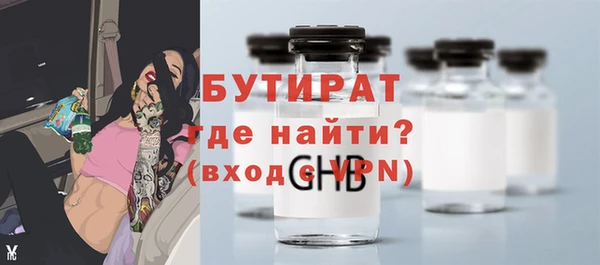 индика Каменка