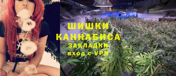 ПСИЛОЦИБИНОВЫЕ ГРИБЫ Каменногорск