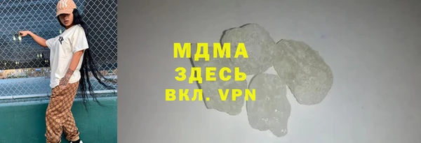 индика Каменка