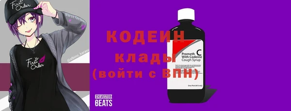 индика Каменка