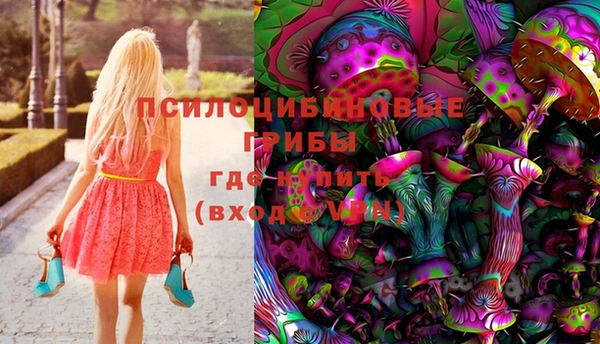 ПСИЛОЦИБИНОВЫЕ ГРИБЫ Каменногорск