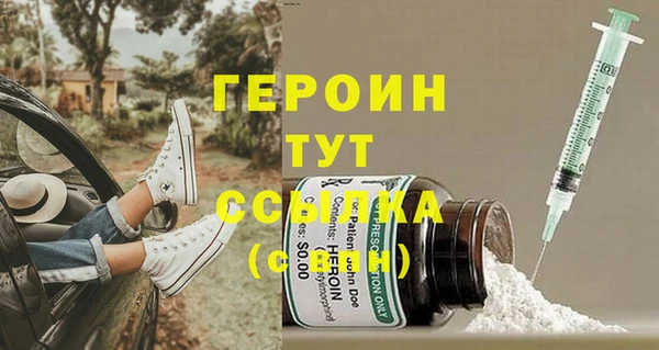 индика Каменка