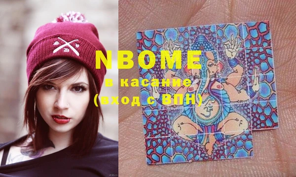 индика Каменка
