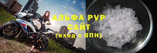 индика Каменка